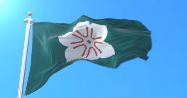 Japonya 'nın Saga Bölgesi Japon bayrağı. Döngü