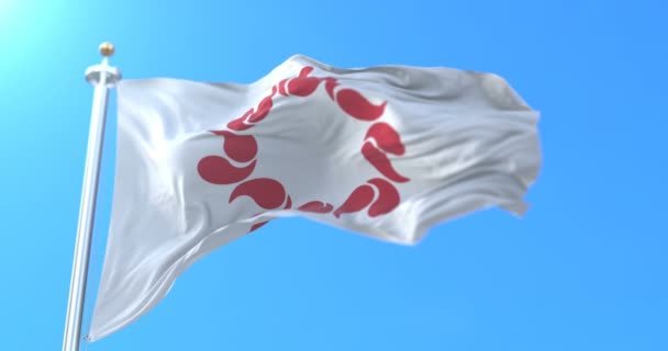 Σημαία Του Νομού Σαϊτάμα Ιαπωνία Βρόχος — Αρχείο Βίντεο