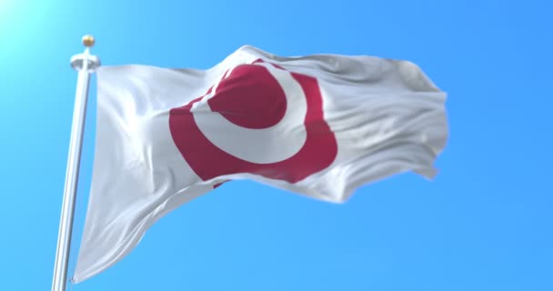 Bandera Prefectura Okinawa Japonesa Japón Bucle — Vídeo de stock