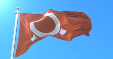 Japonya 'nın Fukushima Bölgesi Japon bayrağı. Döngü