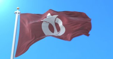 Aichi Bölgesi, Japonya bayrağı. Döngü