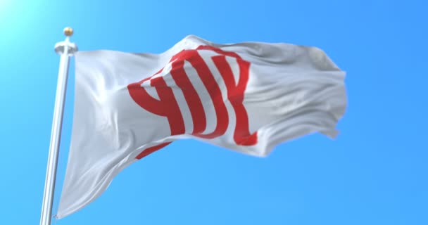 Vlag Van Japanse Prefectuur Kanagawa Japan Lijn — Stockvideo