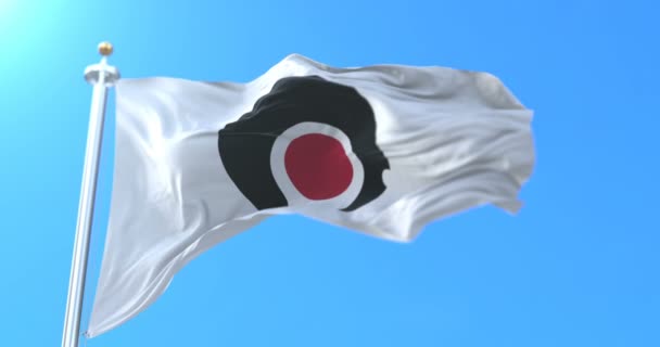 Flagga Kagoshima Prefektur Japansk Japan Ögla — Stockvideo