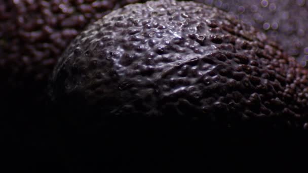熟したハスの皮黒の背景を持つアボカドの果実の収量 — ストック動画