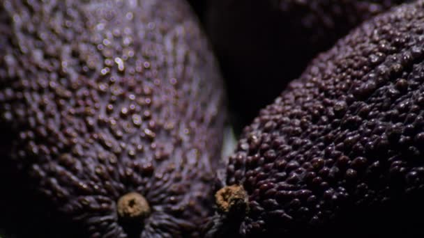 Ripe Hass Avocados Fruit Gyrating Detail Skin Dark Violet — 비디오