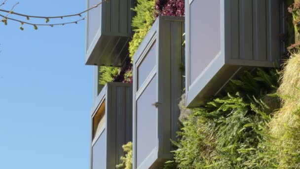 Janela Edifício Moderno Com Paredes Vegetação Ambiente Verde — Vídeo de Stock