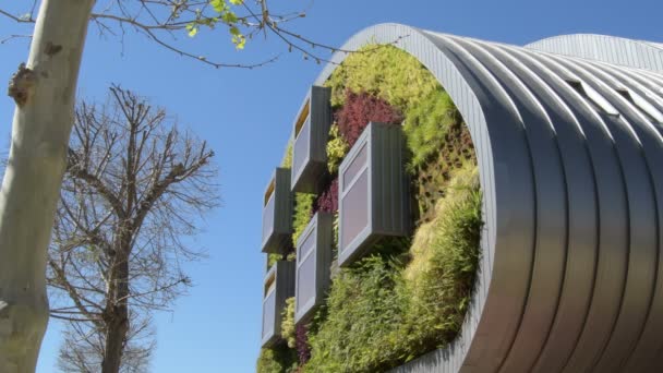 Facciata Edificio Moderno Con Finestre Pareti Vegetazione Ambiente Verde — Video Stock