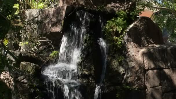 Cascada Agua Que Corre Sobre Una Ruina Arqueológica Ambiente Tropical — Vídeos de Stock