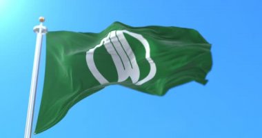 Japonya 'nın Yamagata şehri Japon bayrağı. Döngü