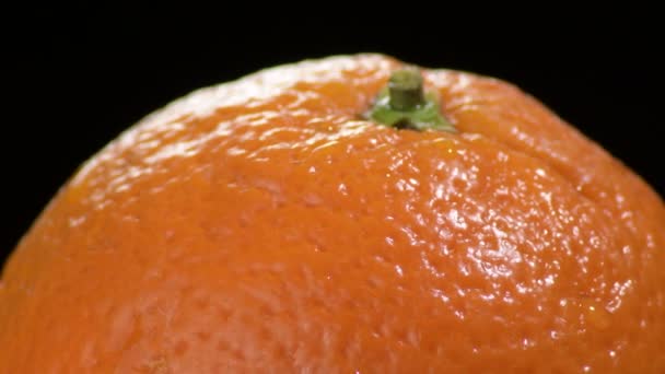 Natural Orange Fruit Gyrating Black Background — Stock Video