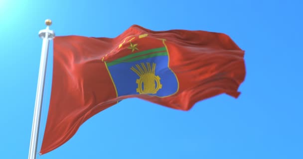 Flagge Der Stadt Und Des Verwaltungszentrums Von Wolgograd Russland Schleife — Stockvideo