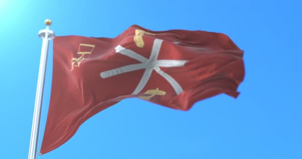 Flagge Der Stadt Und Des Verwaltungszentrums Von Tula Russland Schleife — Stockvideo