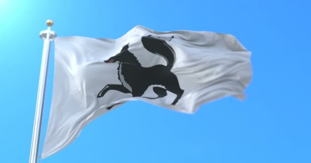Флаг Города Салехарда Ямало Ненецком Автономном Округе Россия Петля — стоковое видео