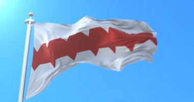 Şehrin bayrağı ve Rusya Omsk idari merkezi. Döngü