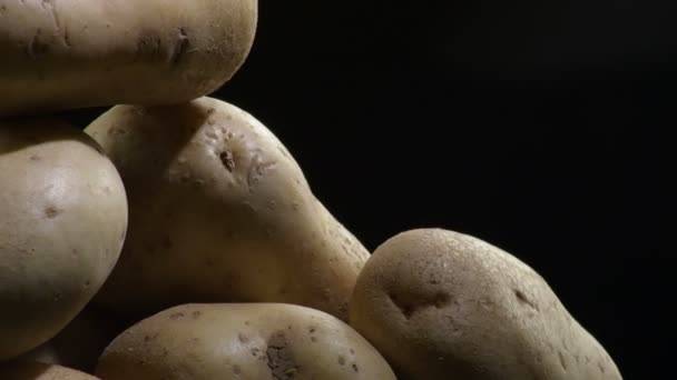 Natural Potatoes Mountain Gyrating Black Background Solanum Tuberosum — 图库视频影像