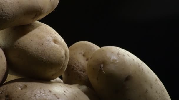 Натуральный Картофель Крутится Черном Фоне Solanum Tuberosum — стоковое видео