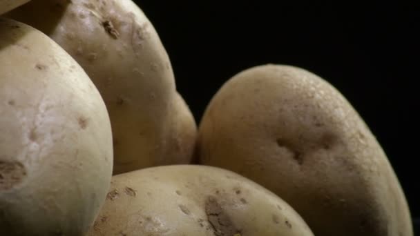 Las Patatas Naturales Giro Montañoso Solanum Tuberosum — Vídeos de Stock