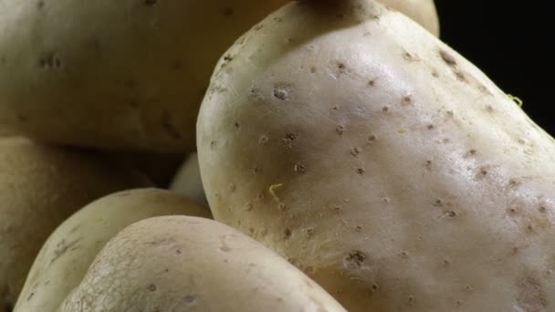 Las Patatas Hortalizas Montaña Sobre Fondo Negro Solanum Tuberosum — Vídeo de stock