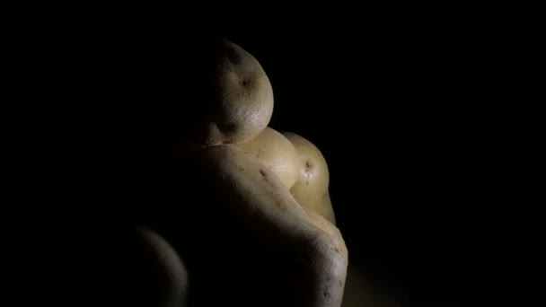 土豆堆积如山 蔬菜不停地旋转 单胞菌结肠炎 — 图库视频影像