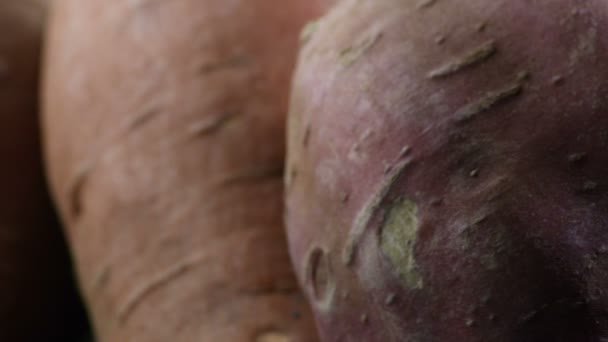 Zoete Aardappel Aan Het Draaien Ipomoea Batatas — Stockvideo