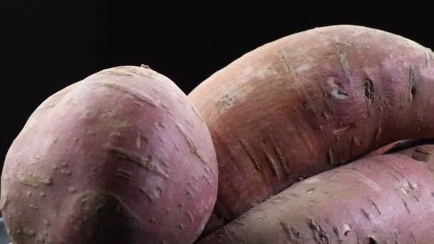 Batatas Crudas Giro Montaña Sobre Fondo Negro Ipomoea Batatas — Vídeos de Stock