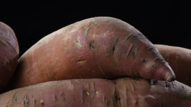 Siyah arka planda dönen dağda tatlı patatesler. Ipomoea Batatas