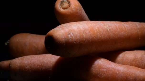 Натуральні Морквяні Овочі Купі Розганяється Карота Дука — стокове відео