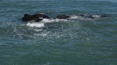 Turkuaz deniz dalgaları kumsalda ortaya çıkan kayaları deviriyor.