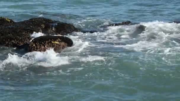 Κύματα Γαλαζοπράσινης Θάλασσας Χτυπούν Βράχους Που Ξεπροβάλλουν Στη Θάλασσα — Αρχείο Βίντεο