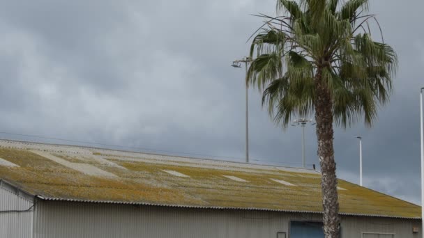 Old Roof Asbestos Tile Industrial Warehouse — Stock Video
