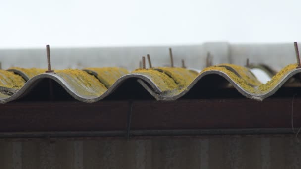 Old Tile Roof Asbestos Industrial Shed — Stockvideo