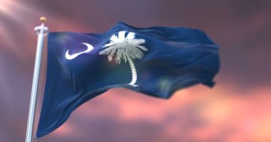 Güney Carolina bayrağı günbatımında rüzgarda sallanıyor - döngü
