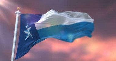 Dallas, ilçe Devlet Texas, Amerika Birleşik Devletleri - bayrağı döngü