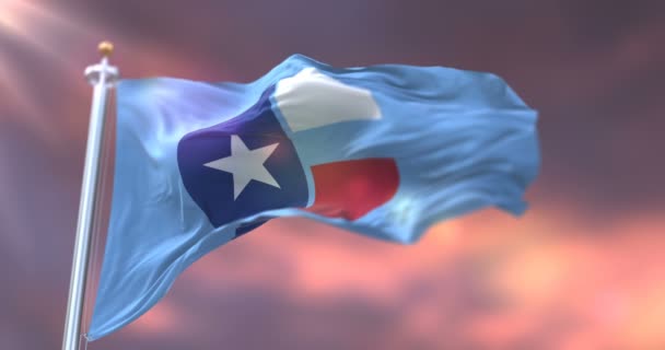 Bandeira Collin Condado Estado Texas Pôr Sol Nos Estados Unidos — Vídeo de Stock