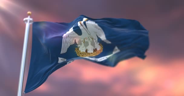 Vlag Van Louisiana Staat Bij Zonsondergang Regio Van Verenigde Staten — Stockvideo