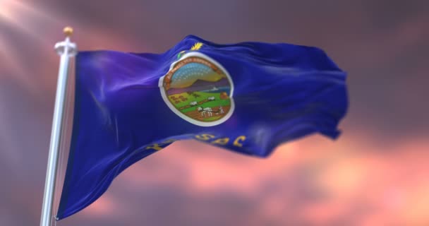 Flag American State Kansas Sunset Region United States Loop — Stock Video