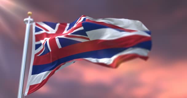 Bandera Del Estado Hawaii Región Los Estados Unidos Ondeando Atardecer — Vídeos de Stock