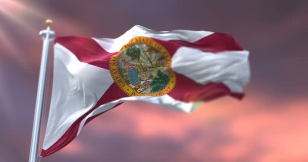 Vlag Van Florida Staat Bij Zonsondergang Regio Van Verenigde Staten — Stockvideo