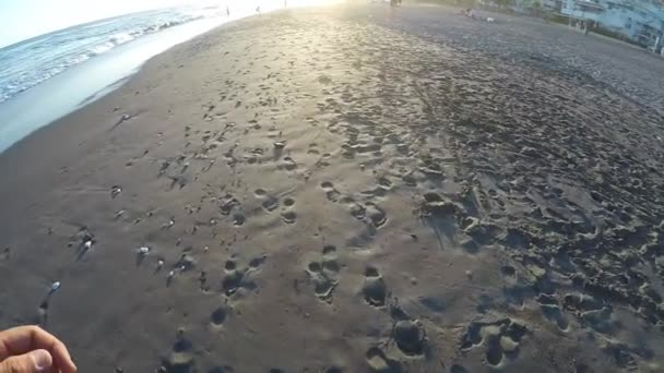 Wandelen Het Strand Bij Zonsondergang Uitzicht Eerste Persoon Langzaam — Stockvideo