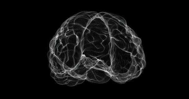 Hologramm Darstellung Bildschirm Des Gehirns Menschlichen Körper Schleife — Stockvideo