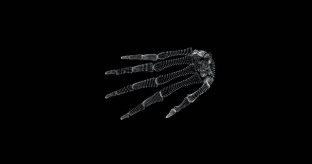人体におけるヒトの手の骨構造のスクリーン3D Loop — ストック動画