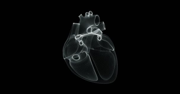 Hologramm Darstellung Bildschirm Des Herzschlags Menschlichen Körper Schleife — Stockvideo