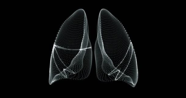 Pulmones Humanos Respirando Una Pantalla Representación Holograma Bucle — Vídeo de stock