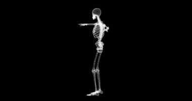 Vitruvian pozisyonunda dönen insan iskeletinin 3 boyutlu hologram ekranı - döngü