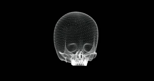 Pantalla Holográfica Del Cráneo Cráneo Sin Hueso Mandíbula Cuerpo Humano — Vídeo de stock