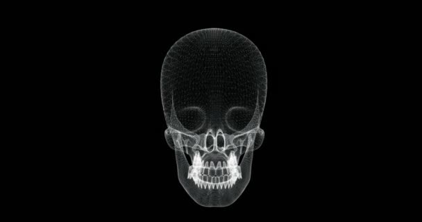 人間の体内の頭蓋骨の骨のホログラム画面3D Loop — ストック動画