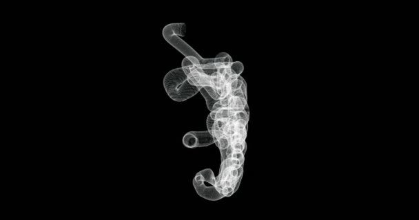 人体の小腸のホログラム画面3D ループ — ストック動画