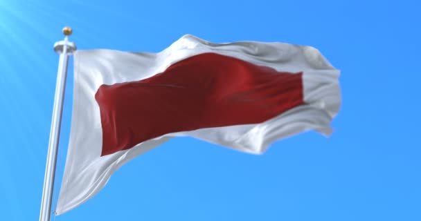 Флаг Эмирата Шарджа Оаэ Петля — стоковое видео