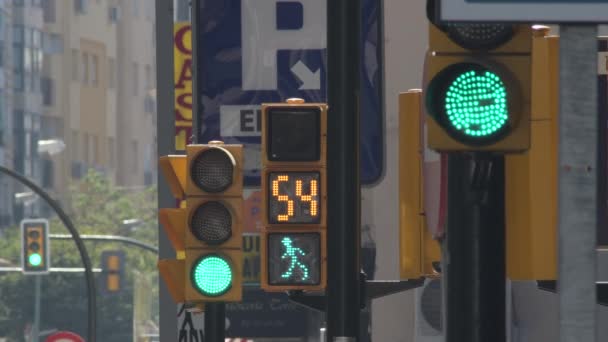 Semáforos Verde Con Indicador Cruce Peatonal Contador Tiempo — Vídeos de Stock
