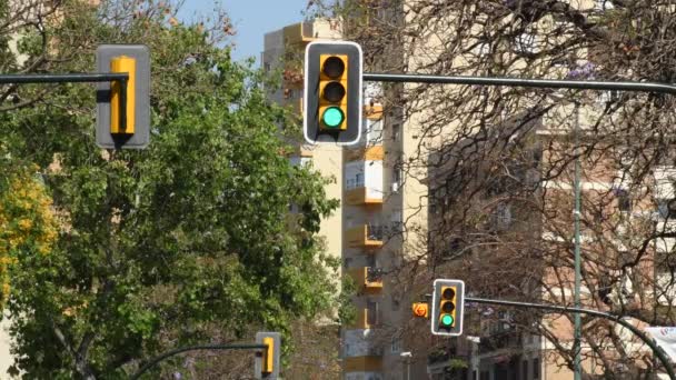 Trafik Işıkları Kırmızıdan Yeşile — Stok video